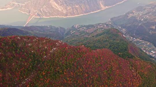 航拍三峡红叶