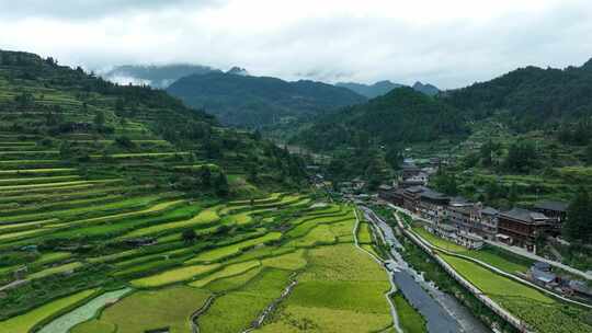 航拍梯田 苗寨 自然风光 乡村美景 空镜