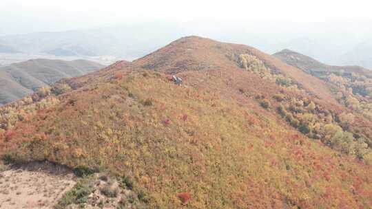 内蒙古乌兰察布林胡古塞金色秋景美景航拍