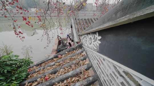 唯美意境岭南特色古建筑旁盛开的百年木棉花