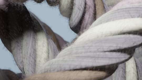 绳子、织物、柔软、麻绳