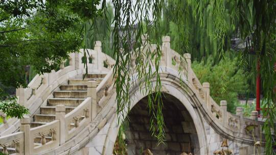 中式园林古莲花池雨景