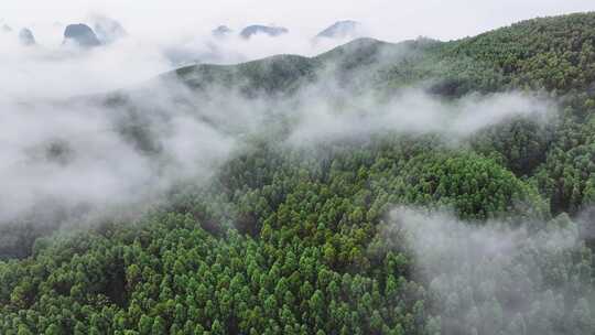 航拍绿色山林云海