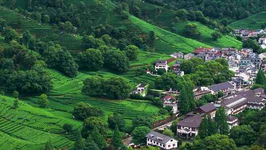 杭州西湖龙井茶园梅家坞清新茶山