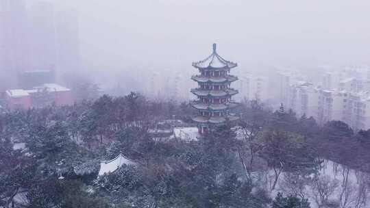 雪中的景色 公园雪 山顶的雪 雪 冬天大雪