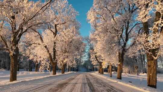 冬天道路两边雪景