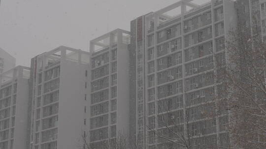 城市大雪出行 城市街道雪景