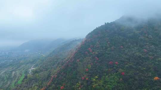 秦岭山脉