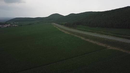 东北航拍亚麻种植农业工业汉麻大麻