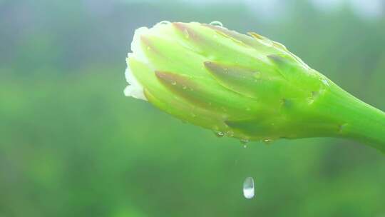 雨过无痕