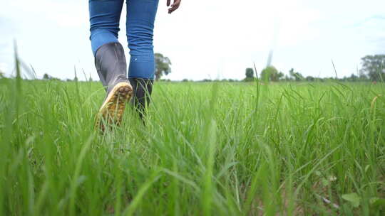 农民行走在田野间脚步的特写视频素材模板下载