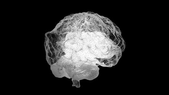 人类白色大脑在黑色，科学解剖背景。人脑就