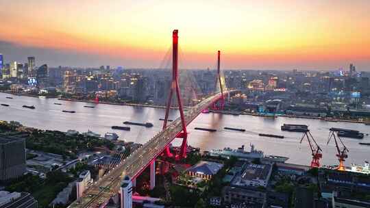 杨浦大桥 杨浦区 上海交通 车流夜景