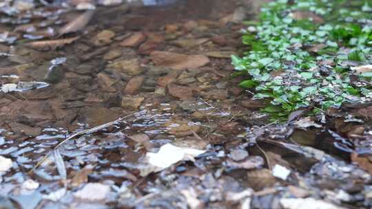 水 水流 小溪 流水 水滴 山区  岩石