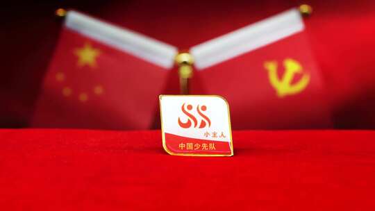 中国少年先锋队-队徽-章程-红领巾奖章