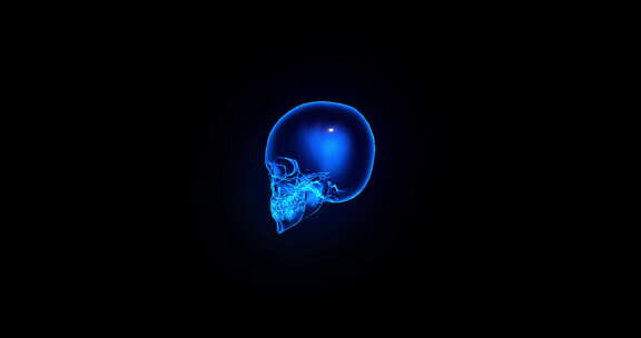 3D全息投影医疗影像人类头骨