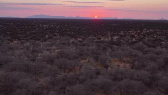 非洲埃林迪野生动物保护区纳米比亚广阔的大草原上日落的天线