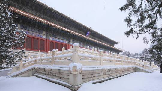 北京定陵雪景拍摄视频素材模板下载