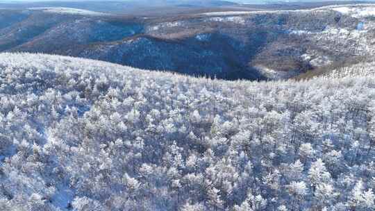 银装素裹的冬日山林雪景