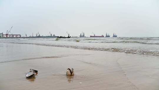 海边码头与沙滩上的贝壳、海浪 4K 慢镜头视频素材模板下载