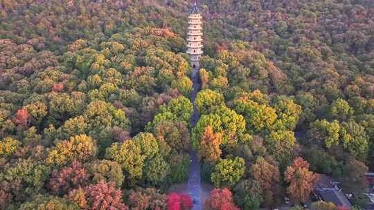 南京 灵谷塔 秋景 南京秋天 秋色 历史建筑