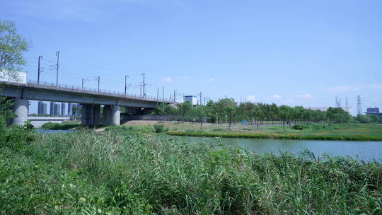 武汉杨春湖城市生态公园风景