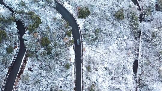 治愈系雪景，这个水流鸟鸣声感觉能听一天