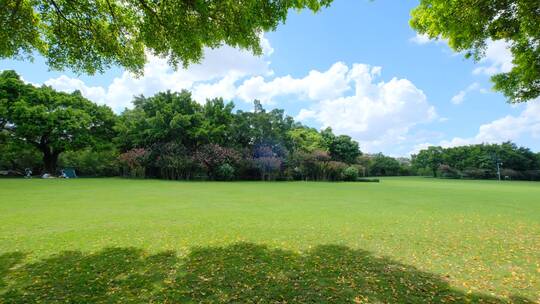 夏天蓝天白云阳光草坪草地绿地树林森林公园