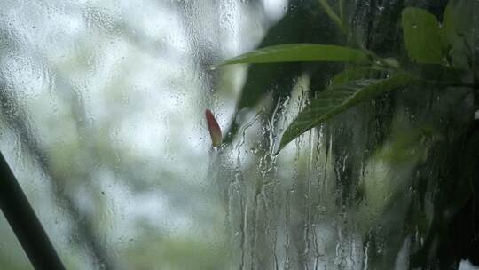 雨天窗外