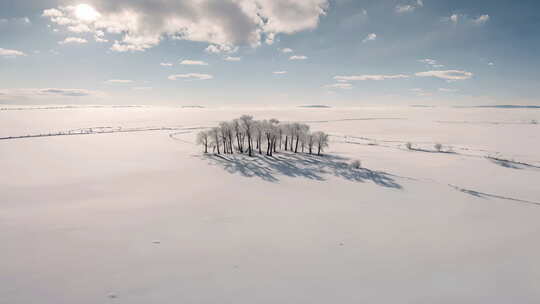 冬天平原积雪和树航拍