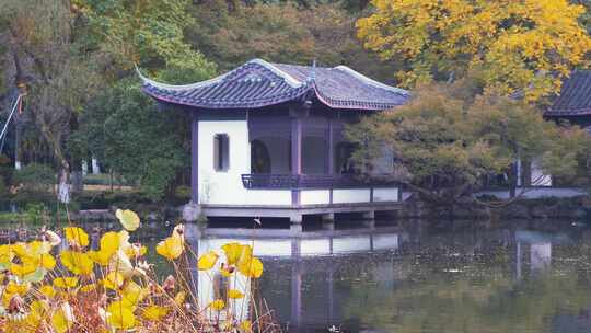 杭州西湖秋天风景