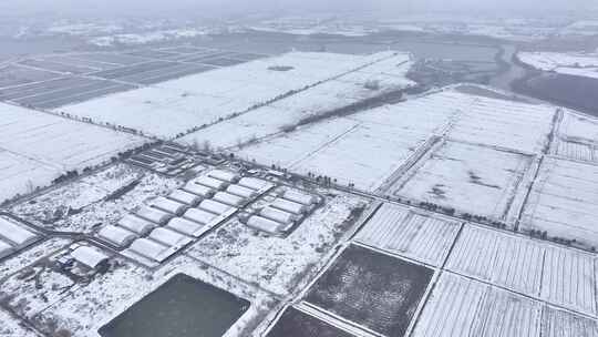 航拍农村乡镇集镇田野平原雪景视频素材模板下载