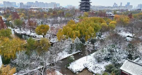 济南大明湖公园雪景航拍        荐