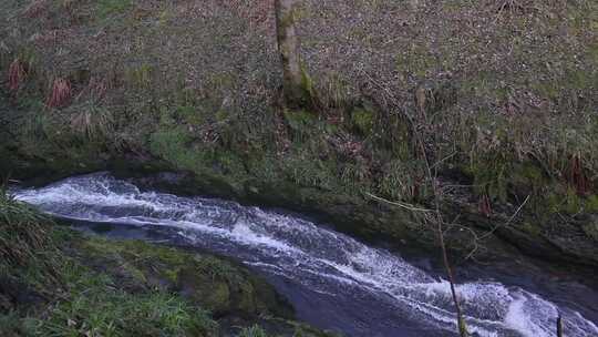 山间小溪潺潺流水