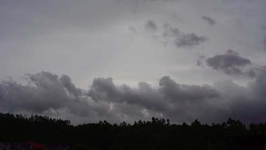 阴天森林乌云飘过树林阴雨天森林大景松树林