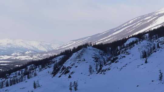 航拍新疆冬季喀纳斯湖雪景雪山森林冰河晨雾