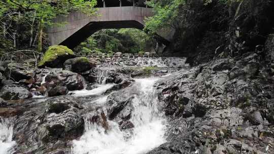 浙江温州泰顺县乌岩岭仕水碇步航拍