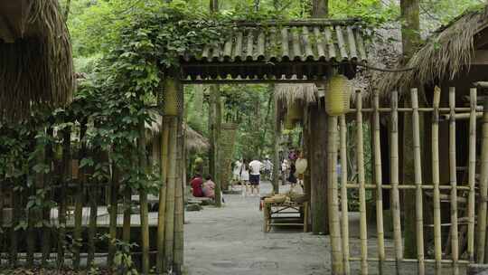 重庆酉阳桃花源景区