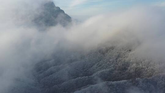森林-航拍森林-大自然森林云雾-云海雪景