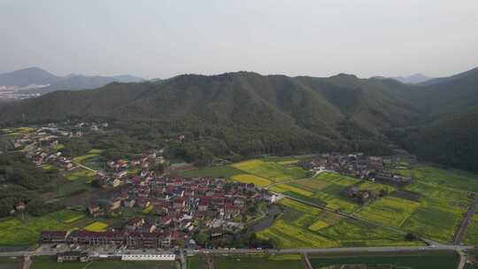 油菜花开，春日的宁国市西村风光航拍素材