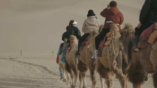在沙漠中骑着骆驼前行视频素材模板下载