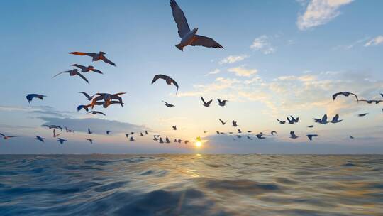 海鸥自由飞翔
