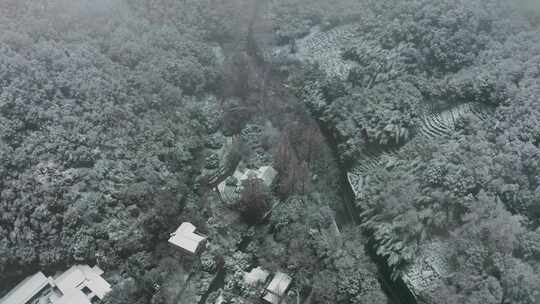 杭州雪景风光法喜寺下雪空镜
