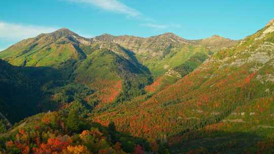 航拍秋季森林香山红叶山峰山脉山脊秋天森林