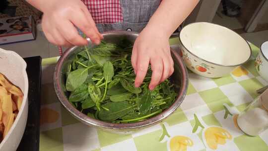 洗菠菜择菠菜处理蔬菜