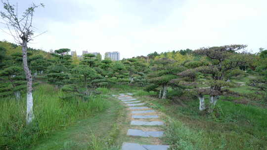 武汉江夏区藏龙岛国家湿地公园