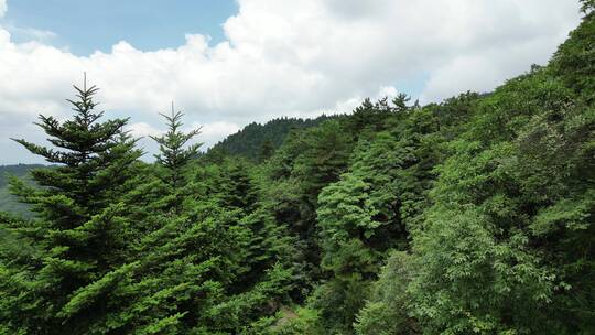 航拍江西井冈山5A景区