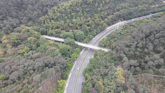 山地间的公路