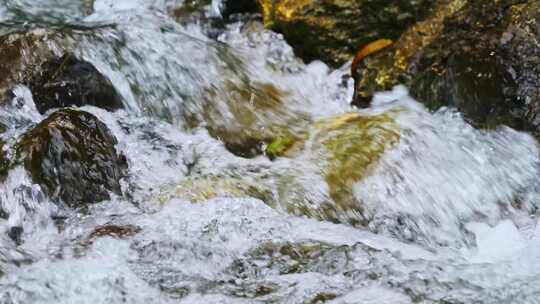 自然小溪流水山泉水花急流