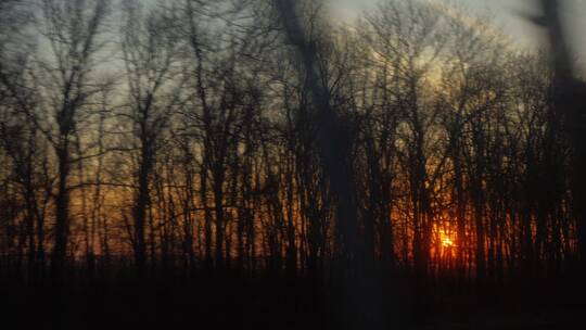 从火车的窗户透过树林看到冉冉升起的太阳